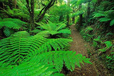 BioWare任命新任总经理 将继续开发高质量游戏