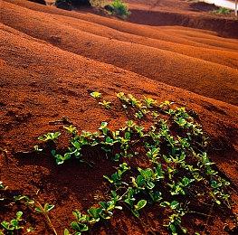 《战锤40K：星际战士2》PS5＆XSX支持4K＆30FPS和1080P＆60FPS